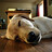 Floorsleeper