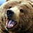 Grizzlymann