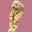 teddyruxpink